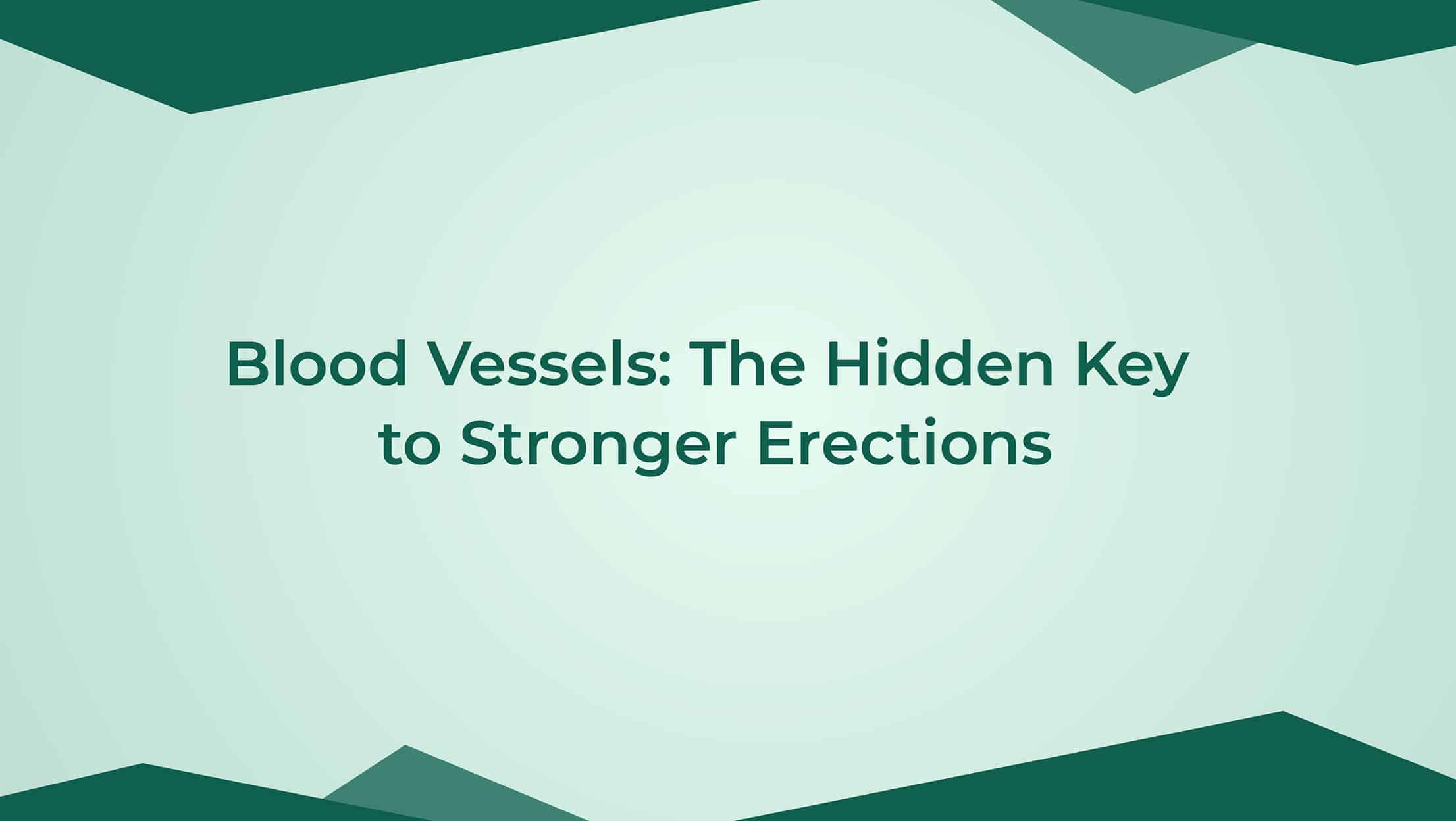 Blood Vessels The Hidden Key To Stronger Erections